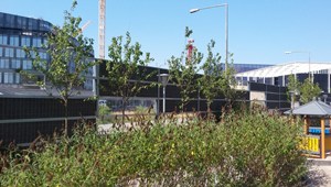 Amagerfælledvej (17)-795.jpg