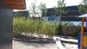 Amagerfælledvej (27)-785.jpg