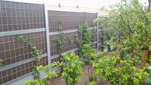 Esbjerg (24)-681.jpg