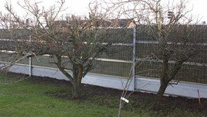 Horsens (6)-565.JPG