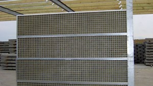 IM001175-450.JPG