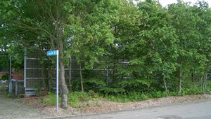 IM001802-365.JPG