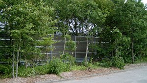 IM001804-363.JPG