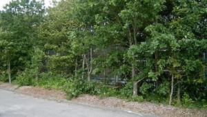 IM001806-361.JPG