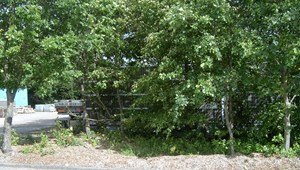 IM001815-352.JPG