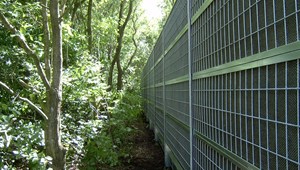 IM001817-350.JPG