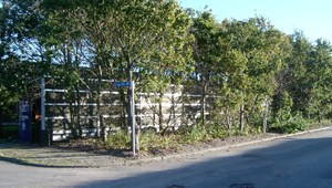 IM002390-314.JPG