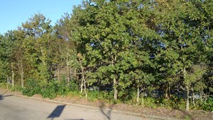 IM002391-313.JPG