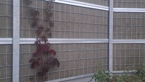Kolt (60)-180.jpg