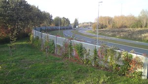 Køge Marina (24)-146.JPG